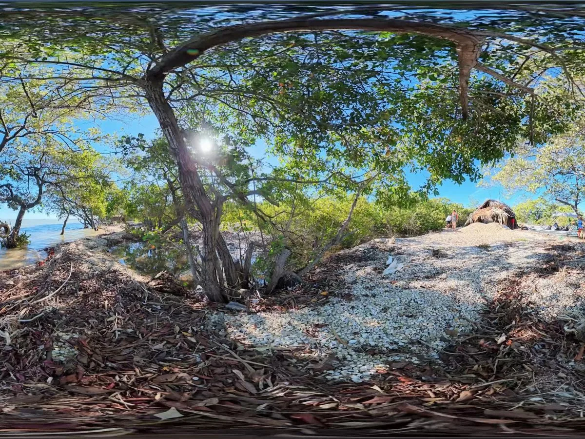 Vista panorâmica da praia de conchas com cabana e mangue ao redor