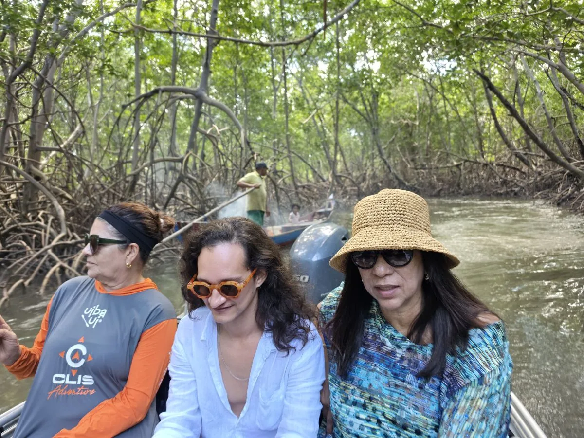 Passageiros navegando pelo túnel de mangue