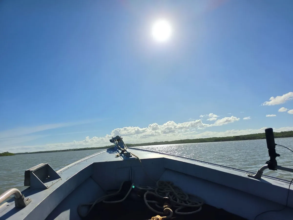 Proa do barco navegando pelo estuário com sol forte